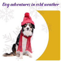 Visit Vivi's Hungary dog adventures in cold weather