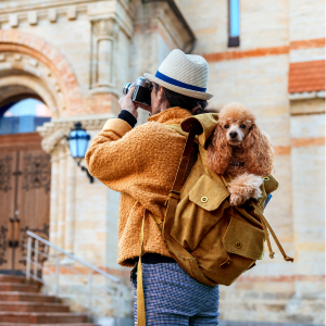 Visit Vivi's Hungary trips with dog