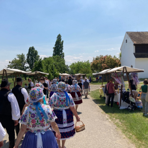 Visit Vivi's Hungary traditional, folk programs