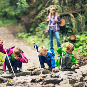 Visit Vivi's Hungary forest school