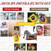 Visit Vivi's Hungary autumn programs with dog